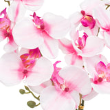 Pink and white artificial orchid in a 100mm vase, 500mm tall, evoking a tropical paradise.