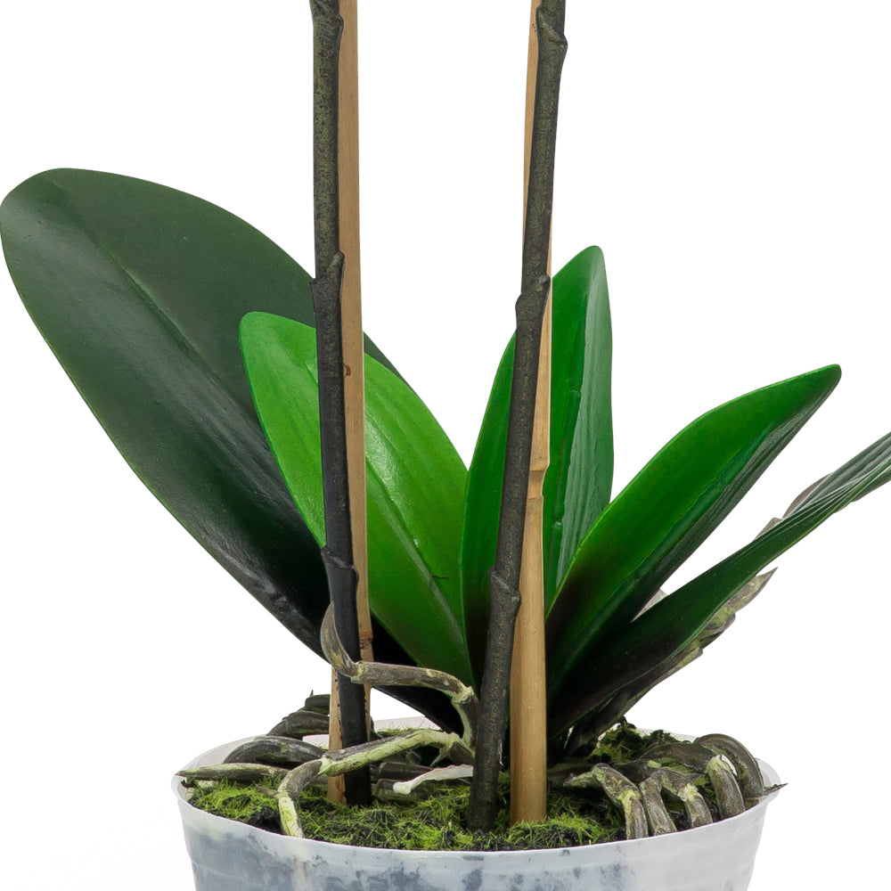 Pink and white artificial orchid in a sleek vase, 500mm tall, perfect for adding a tropical touch to any space.