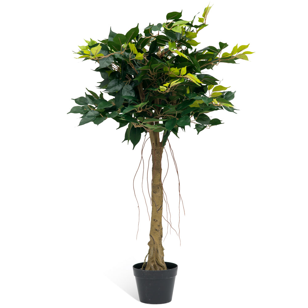 Realistic artificial Ficus tree with a natural look, 1.1m tall, 780mm wide, no watering needed.