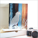 Kiwiana wall art featuring a vibrant Kea parrot on an aged timber background, printed on durable ACM Brushed Silver.