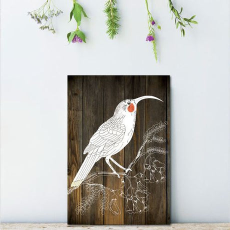 Kiwiana Wall Art featuring the iconic Huia bird, crafted from lightweight plywood, ready to hang, 205mm x 288mm.