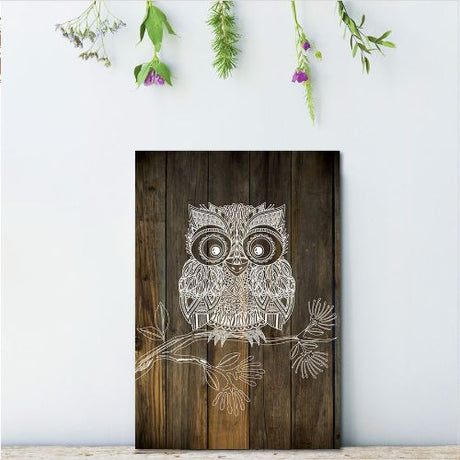 Kiwiana wall art featuring a vibrant Morepork design printed on lightweight plywood, perfect for enhancing any space.