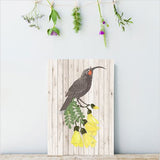 Kiwiana wall art featuring a Huia design on lightweight plywood, perfect for home decor and celebrating New Zealand’s heritage.