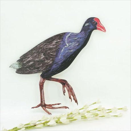 Kiwiana wall art featuring a Pukeko bird, vibrant colors on durable 4mm ACM, perfect for indoor or outdoor display.