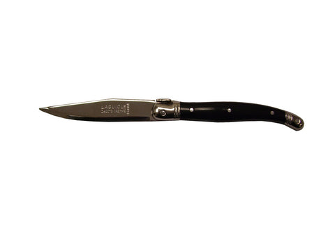 Elegant set of 3 Andre Verdier fruit knives with stainless steel blades and vibrant resin handles, perfect for slicing fruits.