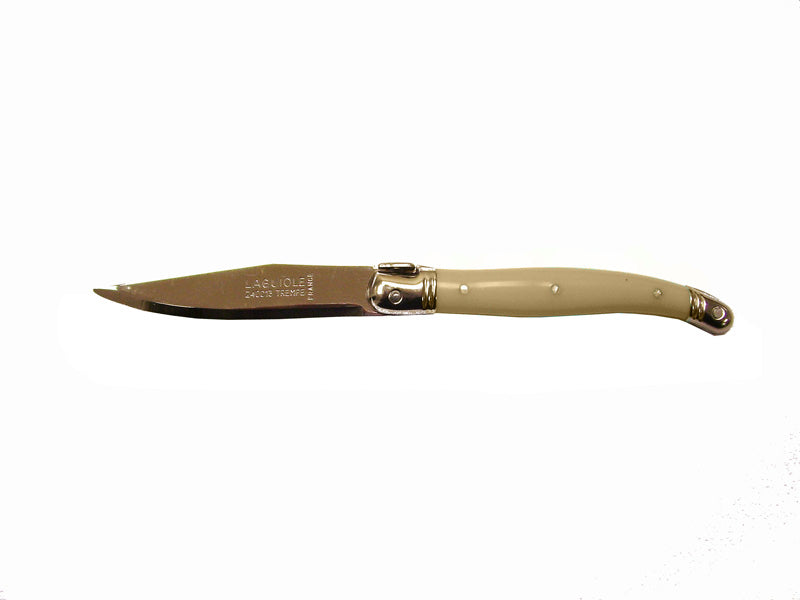 Set of 3 luxurious fruit knives by Andre Verdier, featuring stainless steel blades and colorful resin handles with Laguiole Bee emblem.