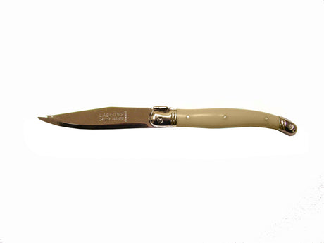 Set of 3 luxurious fruit knives by Andre Verdier, featuring stainless steel blades and colorful resin handles with Laguiole Bee emblem.