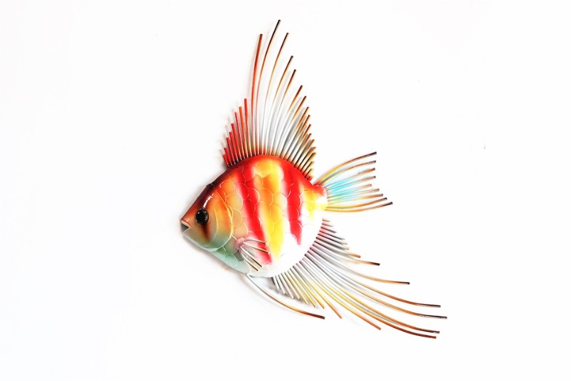 Vibrant red and yellow Peppermint Angel Fish aquarium decoration, 28 x 4 x 47cm, perfect for enhancing aquatic aesthetics.