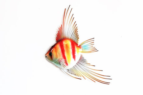 Vibrant red and yellow Peppermint Angel Fish aquarium decoration, 28 x 4 x 47cm, perfect for enhancing aquatic aesthetics.