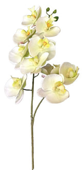 Orchid 1 Spray Stem Real Touch  - Light Green