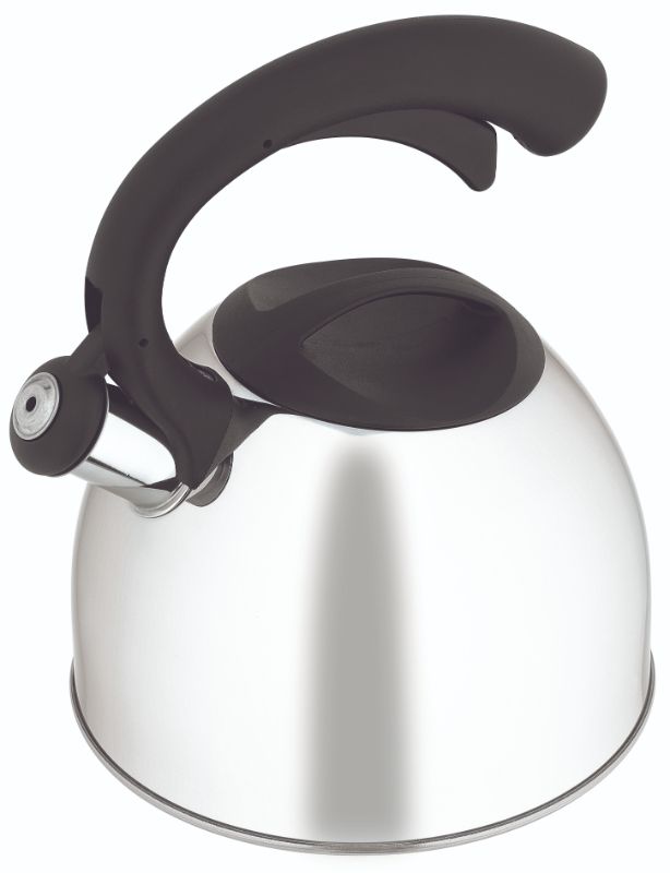 Stainless steel 2.5L whistling kettle with cool-touch grip and safety spout, perfect for brewing tea and coffee.