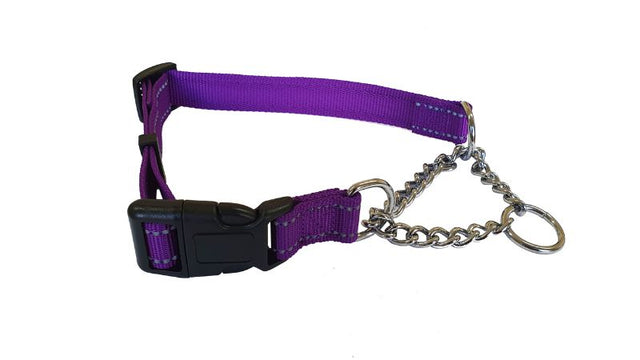 Martingale dog collar in purple, 25mm wide, reflective for safety, fits necks 50-70cm, ideal for sighthounds.