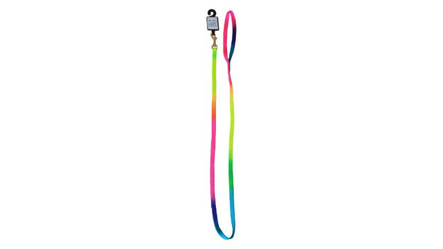 Vibrant rainbow puppy lead (10mm x 120cm) for small to medium breeds, offering style, safety, and comfort during walks.