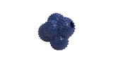 A durable, grippy dog toy with six raised sides for dental health, erratic bounce, and throws up to 125 feet.