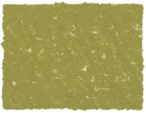 AS Square Pastel Sap Green B in a vibrant hue, ideal for artists, offering smooth application and blending for detailed artwork.