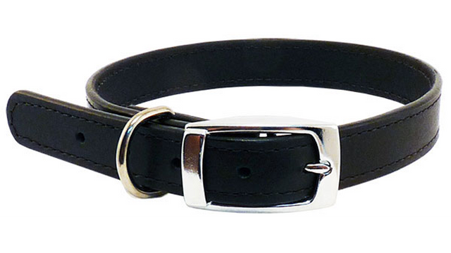 Black leather dog collar with stitched design, bevelled edge, adjustable fit, and durable chrome hardware.