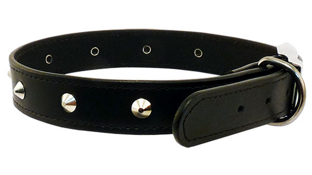 Black stitched studded dog collar, 35cm, features chrome studs, bevelled edges, and durable chrome hardware for comfort and style.