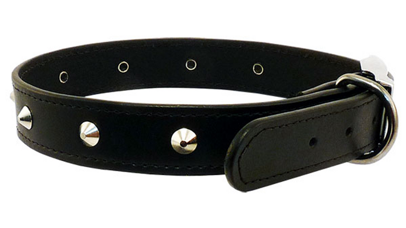 Dog Collar - Stitched Studded 35cm (Black)