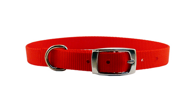 Premium red nylon dog collar (55cm) with adjustable fit and secure buckle, perfect for comfort and style.