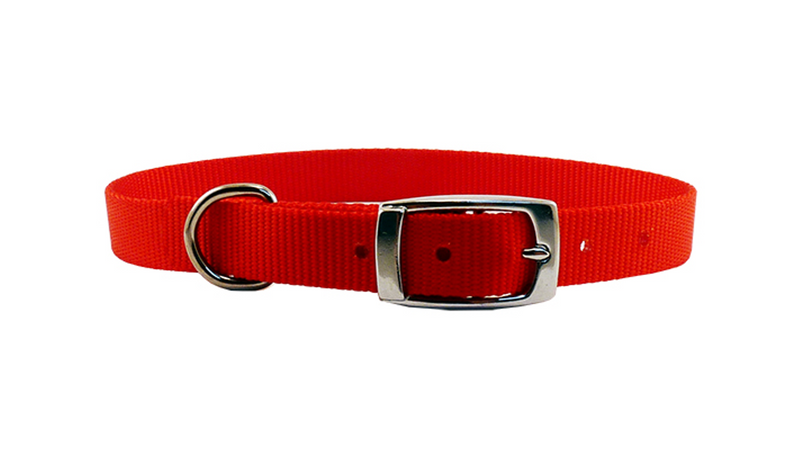 Dog Collar - Nylon S/Layer 55cm (Red)