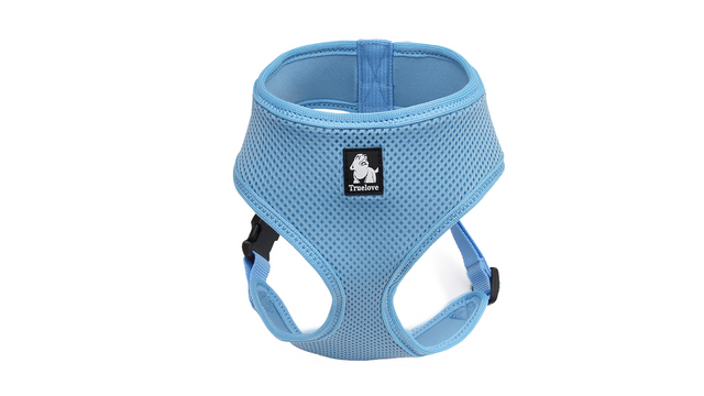 Blue soft mesh dog harness in medium size, designed for comfort and breathability during walks and outdoor adventures.