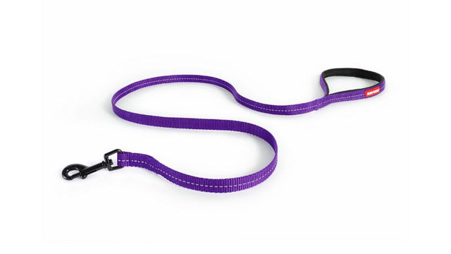 Lightweight purple dog leash for small dogs, 120cm with neoprene handle, reflective stitching, and secure carbon snap clip.