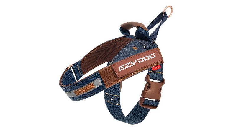 Stylish denim dog harness with ergonomic EVA pads, reflective trim, and personalized labels for comfort and safety.