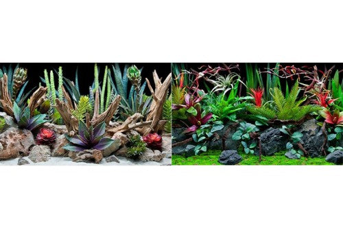 Double-sided aquatic backdrop featuring deep flora and desert dream designs, ideal for enhancing aquarium aesthetics, 30 x 60cm.