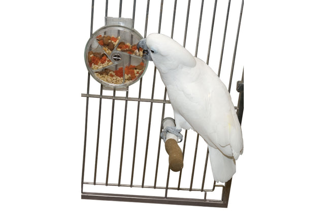 Colorful bird toy with spinning wheel and compartments for treats, promoting foraging behavior and mental stimulation.