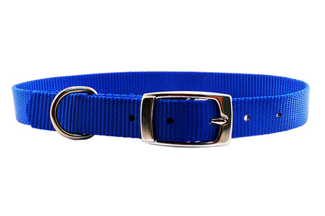 Durable blue nylon dog collar, 20mm width and 55cm length, perfect for small to medium breeds with secure adjustable fit.