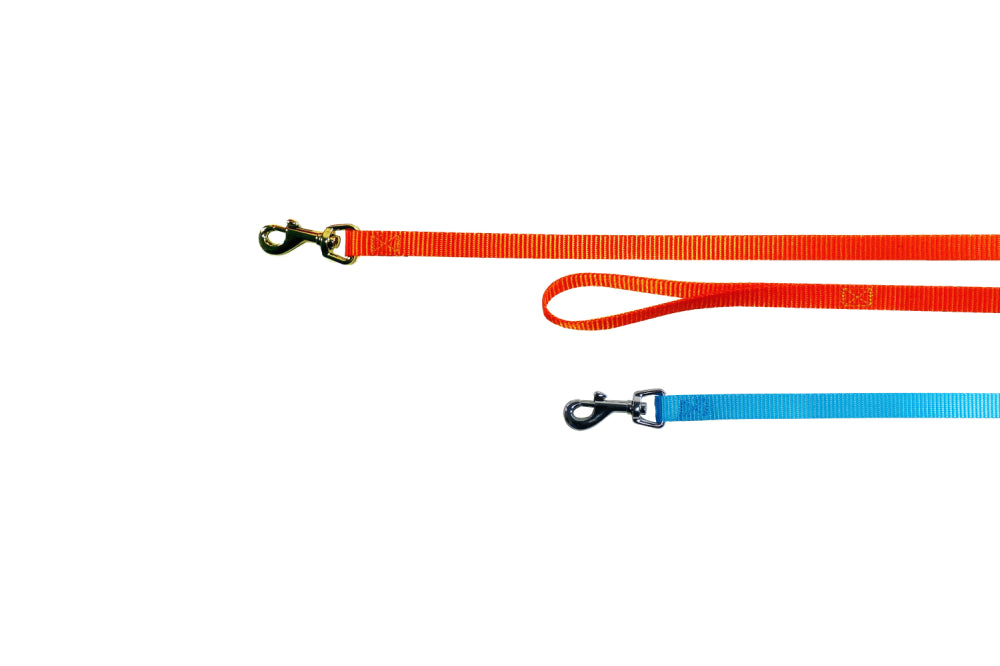 Vibrant Orange and Aqua 120cm nylon dog lead with a secure snap, perfect for walks and vet visits.