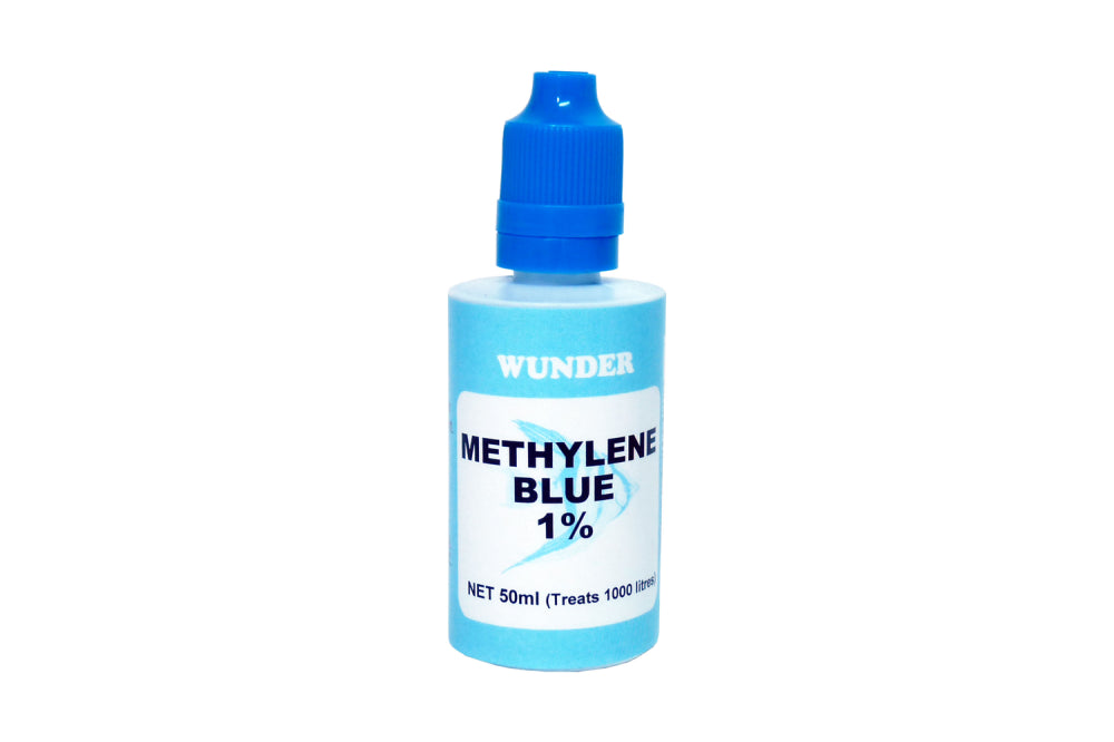 Methylene Blue 1% 50mL: Antiseptic solution for treating fish fungus and promoting healthy aquariums.