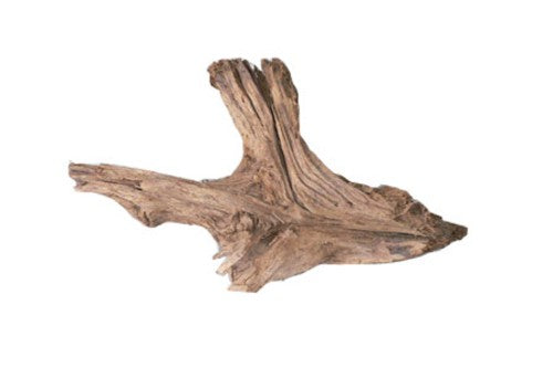 Natural driftwood piece, 25cm, enhances aquariums with beauty, shelter, and beneficial bacteria growth for fish and shrimp.