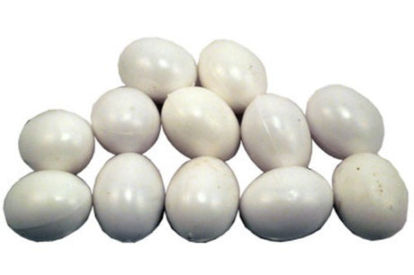 Durable 30mm plastic nesting eggs for pigeons, promoting natural behaviors and enhancing breeding success in a 12-pack.