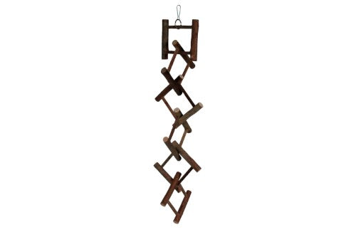 Natural wood bird ladder measuring 50cm with 12 rungs, designed for safe climbing and play for small to medium birds.