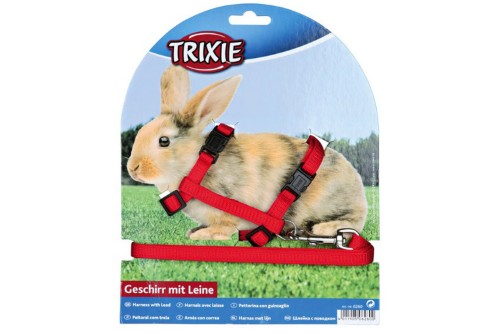 Soft, adjustable rabbit harness with lead in vibrant colors for safe, stylish outdoor adventures.