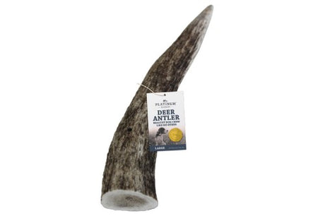 Large NZ natural deer antler dog chew, promoting dental health and packed with essential vitamins and minerals.