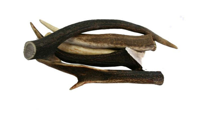 Natural deer antler chew for pets, under 95g, sourced from NZ farmed deer, promotes dental health and sustainable practices.