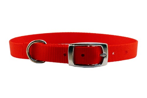 Red nylon dog collar for small to medium dogs, featuring a secure buckle and adjustable fit for comfort and style.