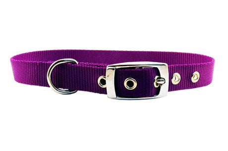 Lightweight purple nylon dog collar (15mm x 45cm) designed for comfort, durability, and secure fits for small to medium dogs.