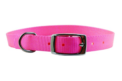 Vibrant pink nylon dog collar, 20mm x 55cm, features durable design and adjustable buckle for small to medium dogs.