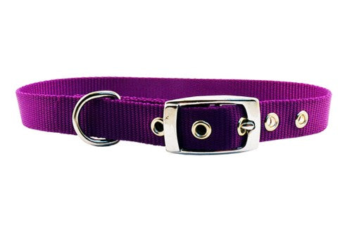 Purple nylon dog collar, 20mm wide and 55cm long, designed for comfort and durability for small to medium-sized dogs.