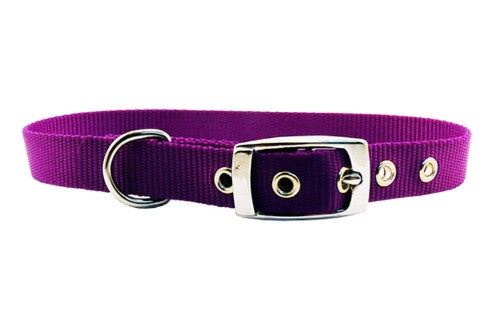 Dog Collar - Nylon S/Layer 20mm x 55cm Collar - Purple