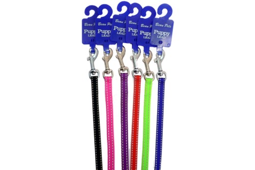 Durable nylon puppy lead with reflective stitching, available in vibrant colors for safety and style during walks.