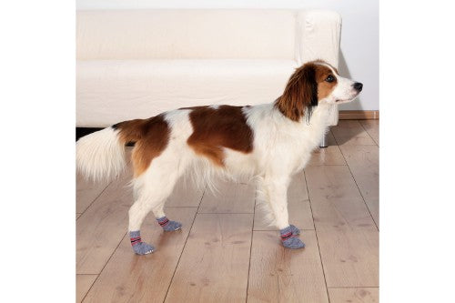 Grey non-slip dog socks for small breeds, with anti-slip dots for traction and protection indoors.