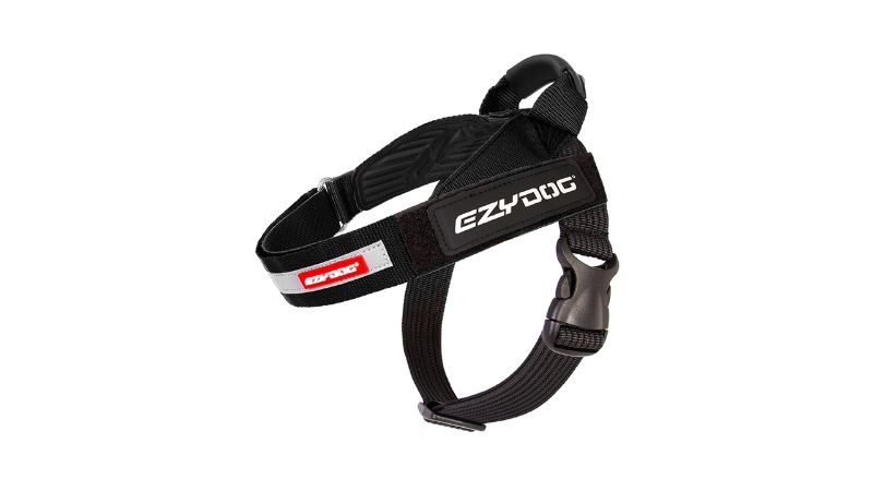 EzyDog Express Harness S Black, a sleek and durable dog harness with reflective trim and custom label options for active dogs.