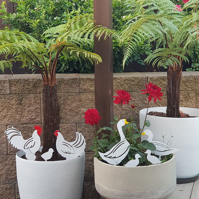 Charming Chicken Family Garden Stakes set featuring a hen, rooster, and chicks, crafted from durable ACM and acrylic.