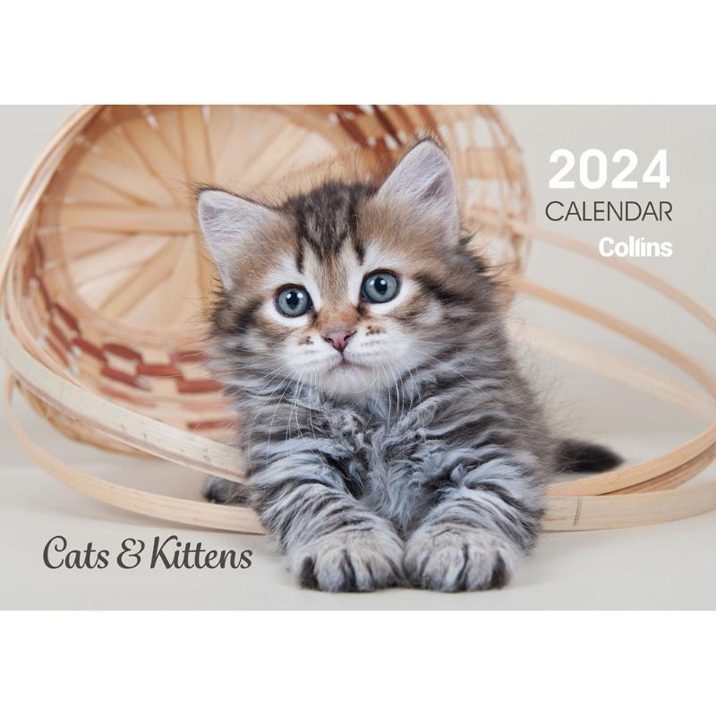 Collins Rosebank Wall Calendar A4 Cats & Kittens Even Year