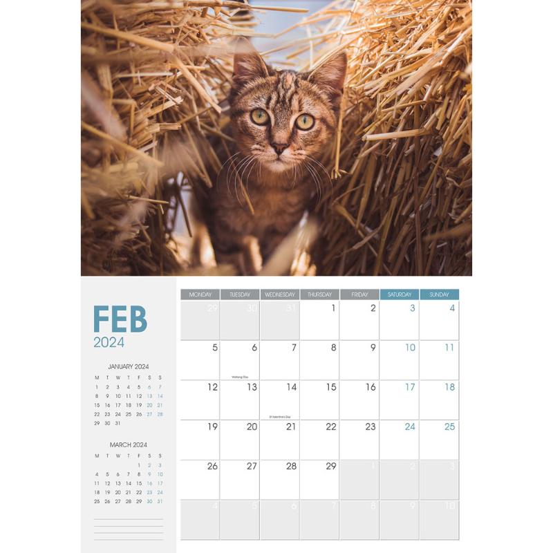 Collins Rosebank Wall Calendar A4 Cats & Kittens Even Year