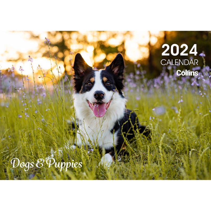 Collins Rosebank Wall Calendar A4 Dogs & Puppies Even Year